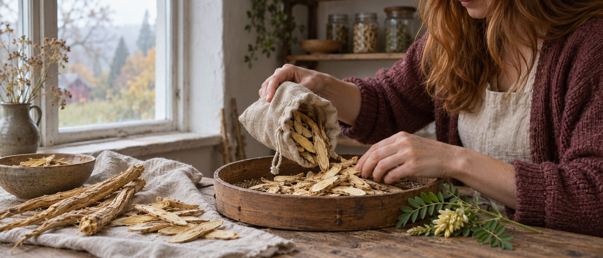 Astragalus – å bygge motstandskraft før kroppen trenger den